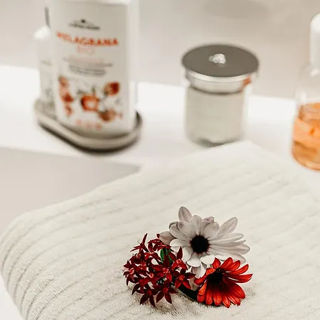 Appartement La Terrazza Sul Mangia Siena