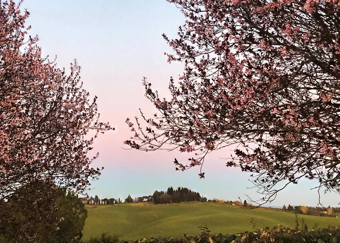 La Terrazza Sul Mangia