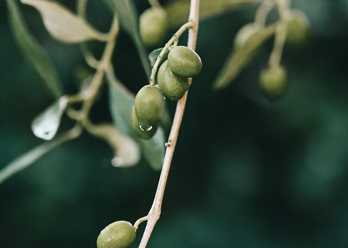 La Terrazza Sul Mangia Lägenhet *