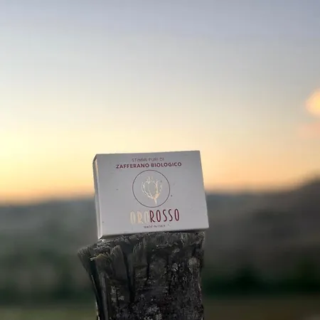 La Terrazza Sul Mangia