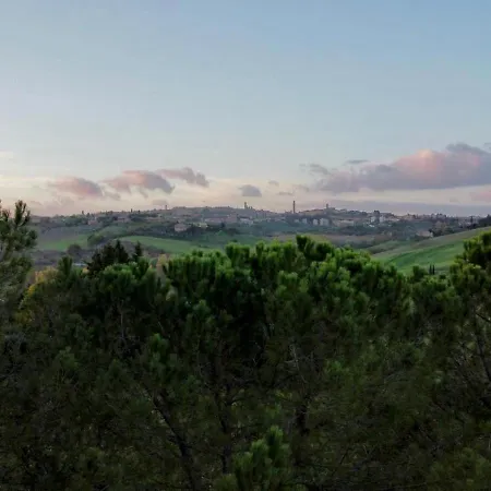 La Terrazza Sul Mangia *