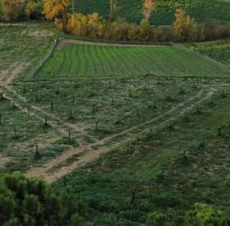 La Terrazza Sul Mangia *