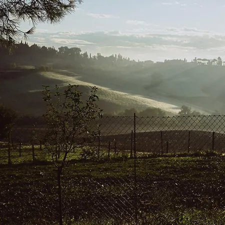La Terrazza Sul Mangia Apartment *