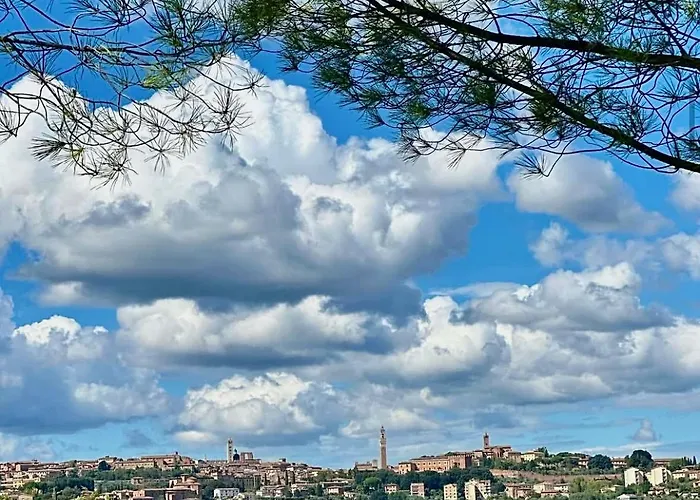 La Terrazza Sul Mangia *