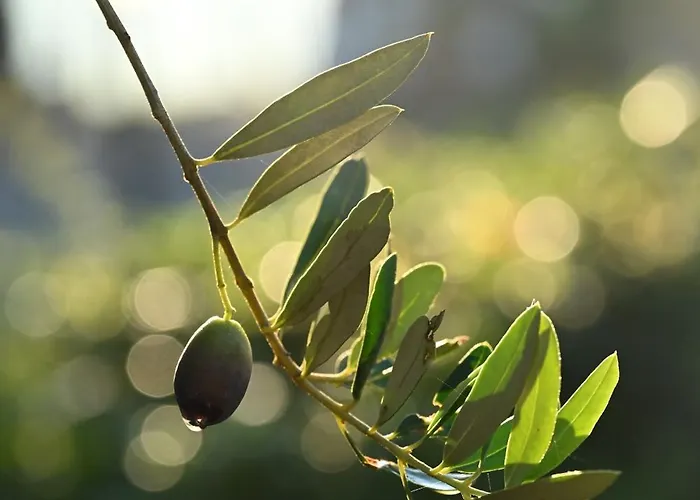 La Terrazza Sul Mangia Apartamento
