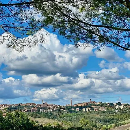La Terrazza Sul Mangia *