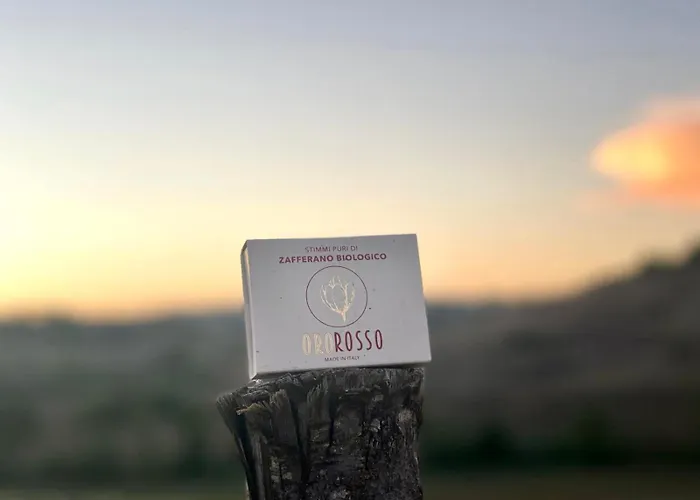 La Terrazza Sul Mangia