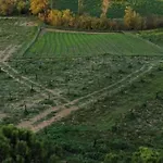 La Terrazza Sul Mangia *