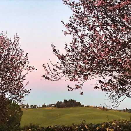 La Terrazza Sul Mangia