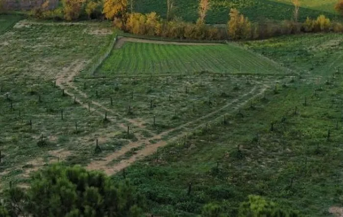 La Terrazza Sul Mangia *